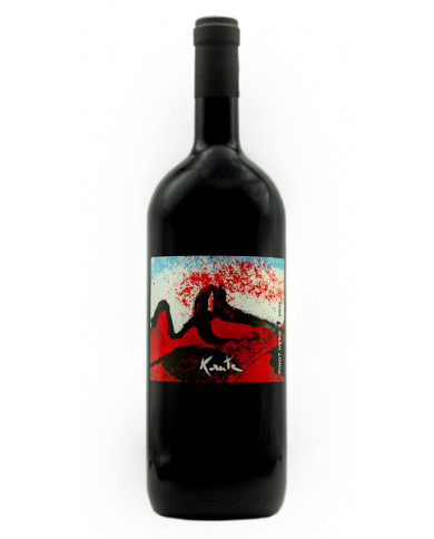 Vini Rossi  Pinot Nero Trevenezie IGT 2016 - Kante 29,32 € Vini Rossi  Pinot Nero Trevenezie IGT 2016 - Kante 29,32 €