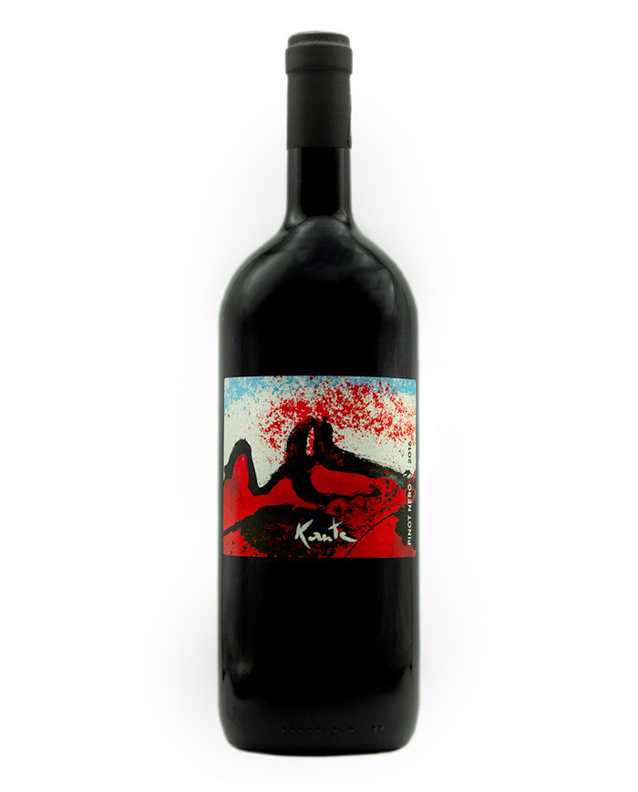 Red Wines  Pinot Nero Trevenezie IGT 2016 - Kante 29,32 €