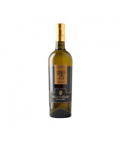 Vini Bianchi  Falanghina Sinuessa IGP 2021 - Villa Matilde Avallone 10,14 € Vini Bianchi  Falanghina Sinuessa IGP 2021 - Villa Matilde Avallone 10,14 €