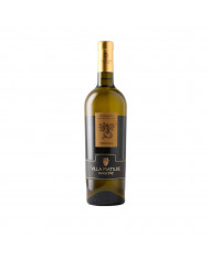 Vini Bianchi  Falanghina Sinuessa IGP 2021 - Villa Matilde Avallone 10,14 â‚¬ Vini Bianchi  Falanghina Sinuessa IGP 2021 - Villa Matilde Avallone 10,14 â‚¬