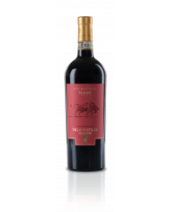 Vini Rossi  Pietrafusa Taurasi DOCG 2017 - Villa Matilde Avallone 20,80 â‚¬ Vini Rossi  Pietrafusa Taurasi DOCG 2017 - Villa Matilde Avallone 20,80 â‚¬