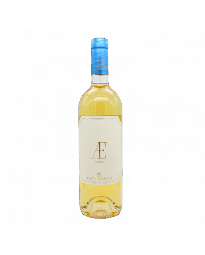 Witte Wijnen  AE Falanghina del Molise DOC 2020 - Campi Valerio 9,67 €