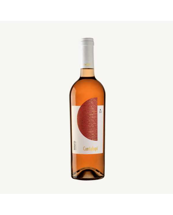 Vini Rossi  Cantalupi Rosato Salento IGP 2023 - Conti Zecca 6,24 â‚¬ Vini Rossi  Cantalupi Rosato Salento IGP 2023 - Conti Zecca 6,24 â‚¬