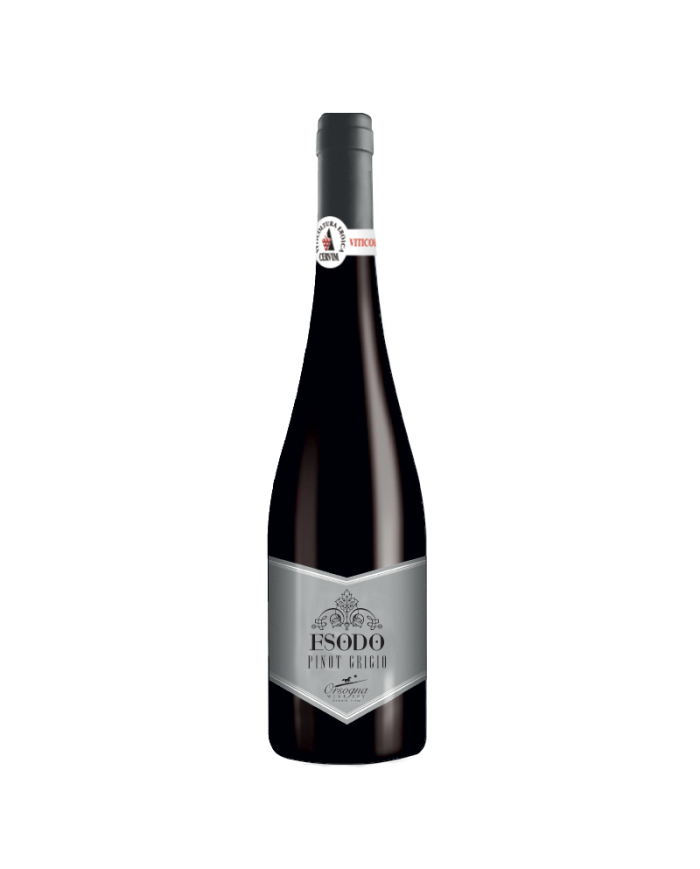 Rode wijnen  Esodo - Pinot Grigio Terre di Chieti IGP 2015 - Cantina Orsogna 7,70 â‚¬ Rode wijnen  Esodo - Pinot Grigio Terre di Chieti IGP 2015 - Cantina Orsogna 7,70 â‚¬