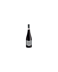 Rode wijnen  Esodo - Pinot Grigio Terre di Chieti IGP 2015 - Cantina Orsogna 7,70 â‚¬ Rode wijnen  Esodo - Pinot Grigio Terre di Chieti IGP 2015 - Cantina Orsogna 7,70 â‚¬