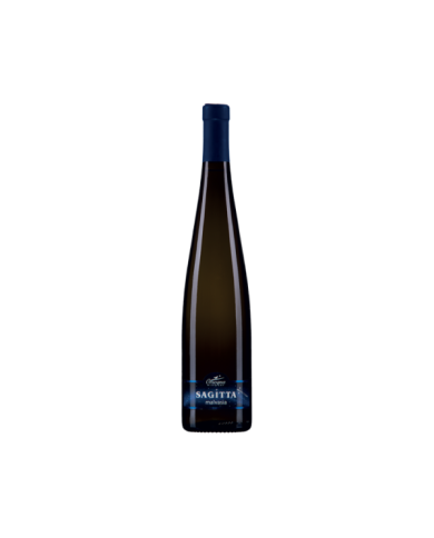 Vini Bianchi  SAGITTA Malvasia Terre di Chieti IGP 2015 - Cantina Orsogna 7,70 €