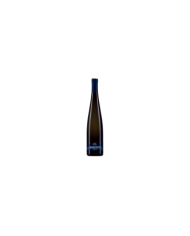 Witte Wijnen  SAGITTA Malvasia Terre di Chieti IGP 2015 - Cantina Orsogna 7,70 â‚¬ Witte Wijnen  SAGITTA Malvasia Terre di Chieti IGP 2015 - Cantina Orsogna 7,70 â‚¬