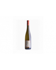 Witte Wijnen  Pinot Grigio Rìvoli DOC 2020 - Cantina Roeno 22,95 €