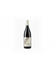 Witte Wijnen  Pinot Grigio Valdadige Tera Alta DOC 2022 - Cantina Roeno 10,90 €