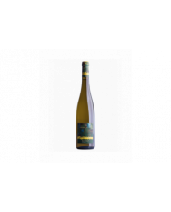 Witte Wijnen  Praecipuus Riesling Renano 2020 IGT - Cantina Roeno 16,80&nbsp;€