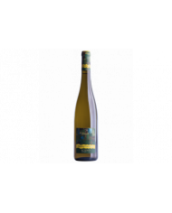 Vini Bianchi  Praecipuus Riesling Renano 2021 IGT magnum Cantina Roeno 39,40&nbsp;€