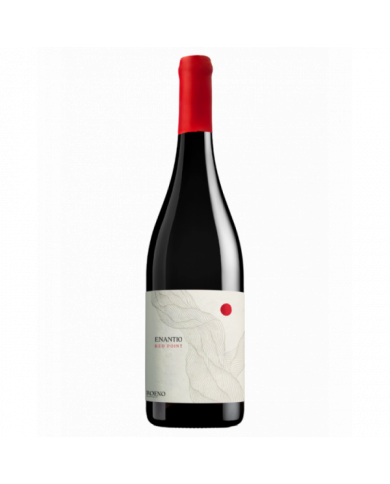 Red Wines  Enantio Terradeiforti DOC 2020 - Cantina Roeno 19,18 â‚¬ Red Wines  Enantio Terradeiforti DOC 2020 - Cantina Roeno 19,18 â‚¬