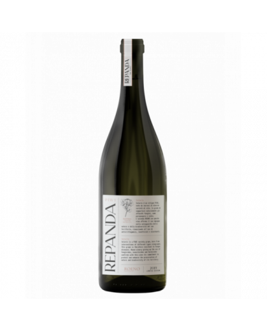 Red Wines  Repanda Solaris Piwi 2021 - Cantina Roero 19,18 â‚¬ Red Wines  Repanda Solaris Piwi 2021 - Cantina Roero 19,18 â‚¬