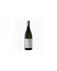 Red Wines  Repanda Solaris Piwi 2021 - Cantina Roero 19,18 â‚¬ Red Wines  Repanda Solaris Piwi 2021 - Cantina Roero 19,18 â‚¬