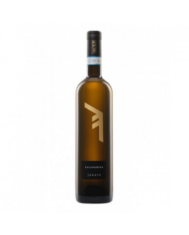 Vini Bianchi  Alfabeto Falanghina del Sannio Janare DOP 2024 - La Guardiense 6,97 € Vini Bianchi  Alfabeto Falanghina del Sannio Janare DOP 2024 - La Guardiense 6,97 €