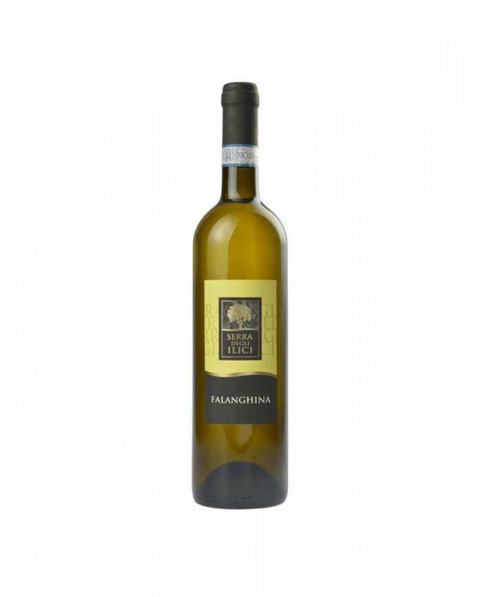 Vini Bianchi  Falanghina Beneventana Igt 2021 Cantina dei Monaci 9,40 â‚¬ Vini Bianchi  Falanghina Beneventana Igt 2021 Cantina dei Monaci 9,40 â‚¬