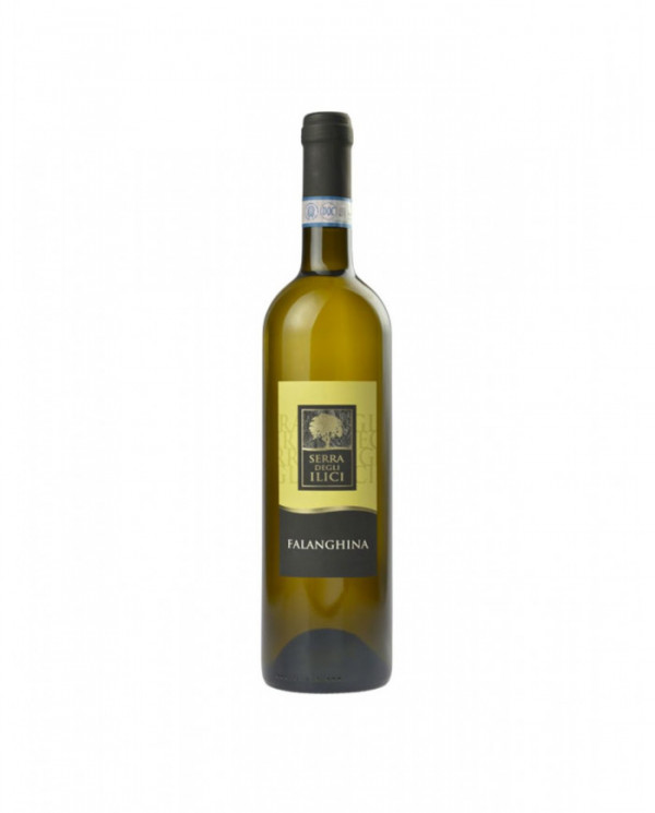 Vini Bianchi  Falanghina Beneventana Igt 2021 Cantina dei Monaci 9,40 â‚¬ Vini Bianchi  Falanghina Beneventana Igt 2021 Cantina dei Monaci 9,40 â‚¬