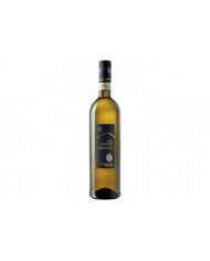 White wines  Fiano d'Avellino DOCG 2021 Cantina dei Monaci 11,10 â‚¬ White wines  Fiano d'Avellino DOCG 2021 Cantina dei Monaci 11,10 â‚¬