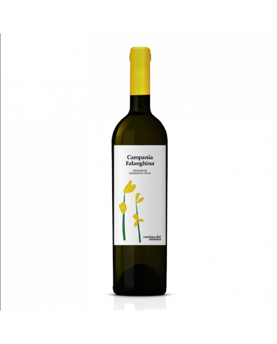 Vini Bianchi  Flowers Campania Falanghina I.G.T. 2021 - Cantina dei Monaci 12,30 € Vini Bianchi  Flowers Campania Falanghina I.G.T. 2021 - Cantina dei Monaci 12,30 €