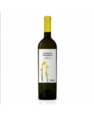 Vini Bianchi  Flowers Campania Falanghina I.G.T. 2021 - Cantina dei Monaci 12,30 â‚¬ Vini Bianchi  Flowers Campania Falanghina I.G.T. 2021 - Cantina dei Monaci 12,30 â‚¬