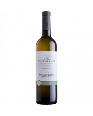White wines  Müller Thurgau Trentino DOC 2022 - Castel Firmian 8,40 € White wines  Müller Thurgau Trentino DOC 2022 - Castel Firmian 8,40 €