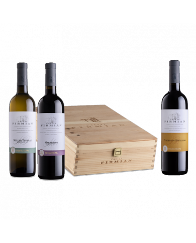White wines  Confezione regalo in legno da 3 bottiglie - Castel Firmian 39,00 € White wines  Confezione regalo in legno da 3 bottiglie - Castel Firmian 39,00 €