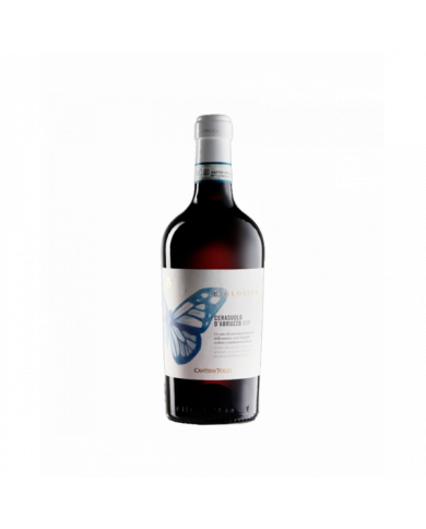 Rosé-Weine  Cerasuolo D’Abruzzo Dop Biologico 2023 - Cantina Tollo 8,52 € Rosé-Weine  Cerasuolo D’Abruzzo Dop Biologico 2023 - Cantina Tollo 8,52 €