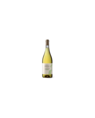 Witte Wijnen  Trebbiano d’Abruzzo D.O.C 2021 - D'Alesio Sciarr 10,15&nbsp;€