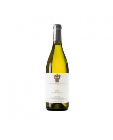 White wines  Gresy Chardonnay Langhe DOC 2020 - Marchesi di Gresy 24,70&nbsp;€