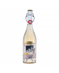 Witte Wijnen  Sott'a la capanna frizzante bianco 2022 - Cantina Orsogna 10,67 €