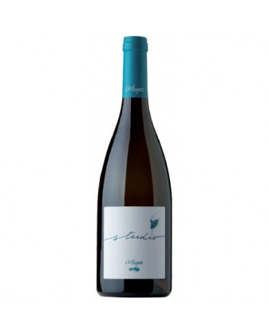 Witte Wijnen  Studio Bianco Veneto IGT 2019 Ca' Rugate 17,70 €