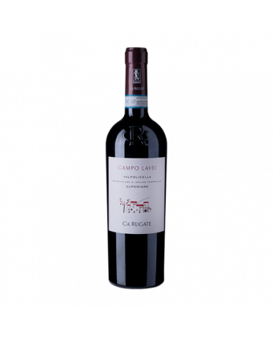 Red Wines  Campo Lavei Valpolicella Superiore DOC 2019 - Ca' Rugate 18,20 €