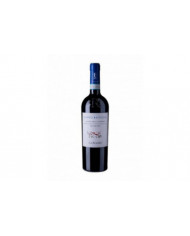 Red Wines  Campo Bastiglia Valpolicella Ripasso Superiore DOC 2020 - Ca' Rugate 17,48 €
