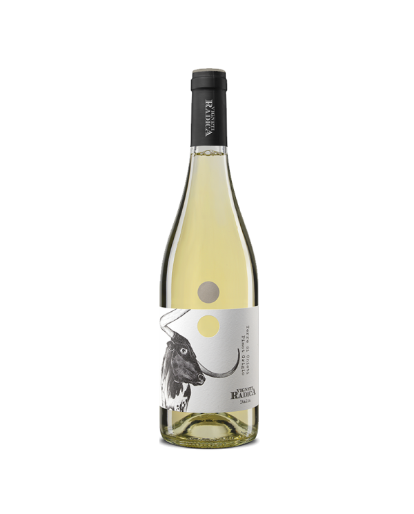 White wines  Pinot Grigio IGT Terre di Chieti 2024 - Vigneti Radica 10,66 â‚¬ White wines  Pinot Grigio IGT Terre di Chieti 2024 - Vigneti Radica 10,66 â‚¬
