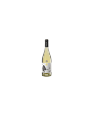 Witte Wijnen  Pinot Grigio IGT Terre di Chieti 2024 - Vigneti Radica 10,66 €