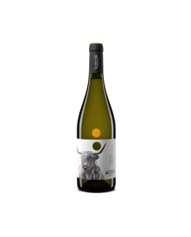 Vini Bianchi  Pecorino IGT Terre di Chieti 2020 - Vigneti Radica 7,03 € Vini Bianchi  Pecorino IGT Terre di Chieti 2020 - Vigneti Radica 7,03 €