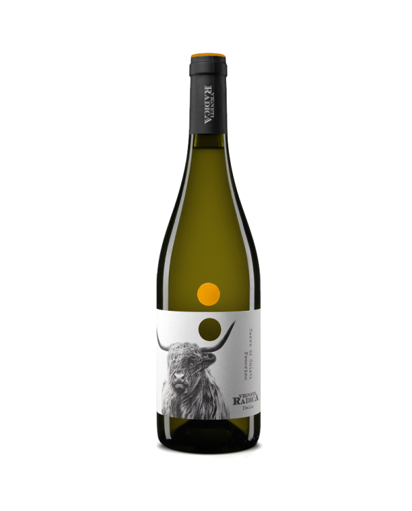 White wines  Pecorino IGT Terre di Chieti 2020 - Vigneti Radica 7,03 â‚¬ White wines  Pecorino IGT Terre di Chieti 2020 - Vigneti Radica 7,03 â‚¬