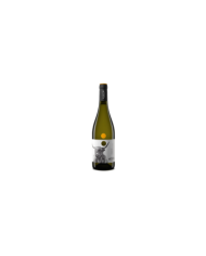 Vini Bianchi  Pecorino IGT Terre di Chieti 2020 - Vigneti Radica 7,03 â‚¬ Vini Bianchi  Pecorino IGT Terre di Chieti 2020 - Vigneti Radica 7,03 â‚¬
