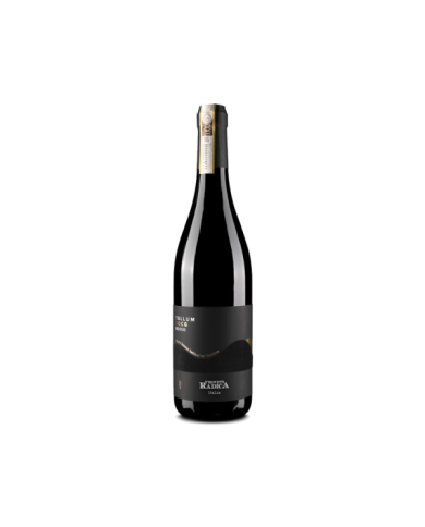 Vini Rossi  Tullum Rosso DOCG 2019 - Vigneti Radica 18,03 € Vini Rossi  Tullum Rosso DOCG 2019 - Vigneti Radica 18,03 €