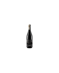 Rode wijnen  Tullum Rosso DOCG 2019 - Vigneti Radica 18,03 €