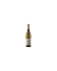 Witte Wijnen  Tullum Pecorino DOCG 2021 - Vigneti Radica 13,93 €