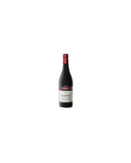 Vini Rossi  Paparocco Montepulciano D’Abruzzo DOC 2018 - Vigneti Radica 22,13 € Vini Rossi  Paparocco Montepulciano D’Abruzzo DOC 2018 - Vigneti Radica 22,13 €