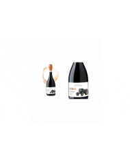 Schaumweine  Testacalda spumante metodo classico lambrusco di sorbara DOC - Cantina di Soliera 13,40 â‚¬ Schaumweine  Testacalda spumante metodo classico lambrusco di sorbara DOC - Cantina di Soliera 13,40 â‚¬