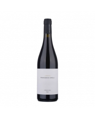 Rode wijnen  Amphora 15 + 16 + 17 Rosso Organic Wine - Cirelli 44,52 €