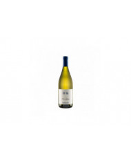 White wines  Trentino Pinot Grigio 2021 DOC - Cantina Dorigati 12,60 €