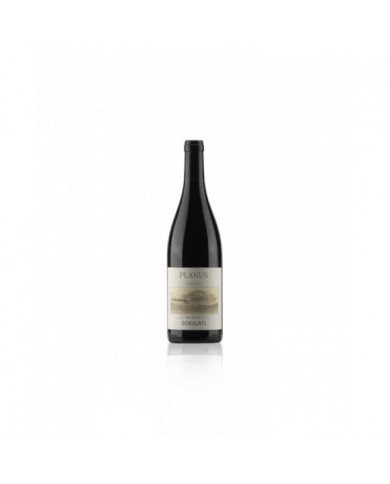 Red Wines  Planus Igt Rosso Vigneti delle Dolomiti 2019 Cantina Dorigati 14,00 € Red Wines  Planus Igt Rosso Vigneti delle Dolomiti 2019 Cantina Dorigati 14,00 €