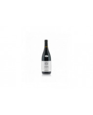 Vini Rossi  Diedri Teroldego Rotaliano Riserva DOC 2017 Cantina Dorigati 22,80 €