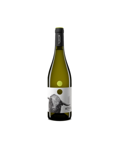 Vini Bianchi  Trebbiano D’Abruzzo DOC 2023 - Vigneti Radica 10,66 € Vini Bianchi  Trebbiano D’Abruzzo DOC 2023 - Vigneti Radica 10,66 €