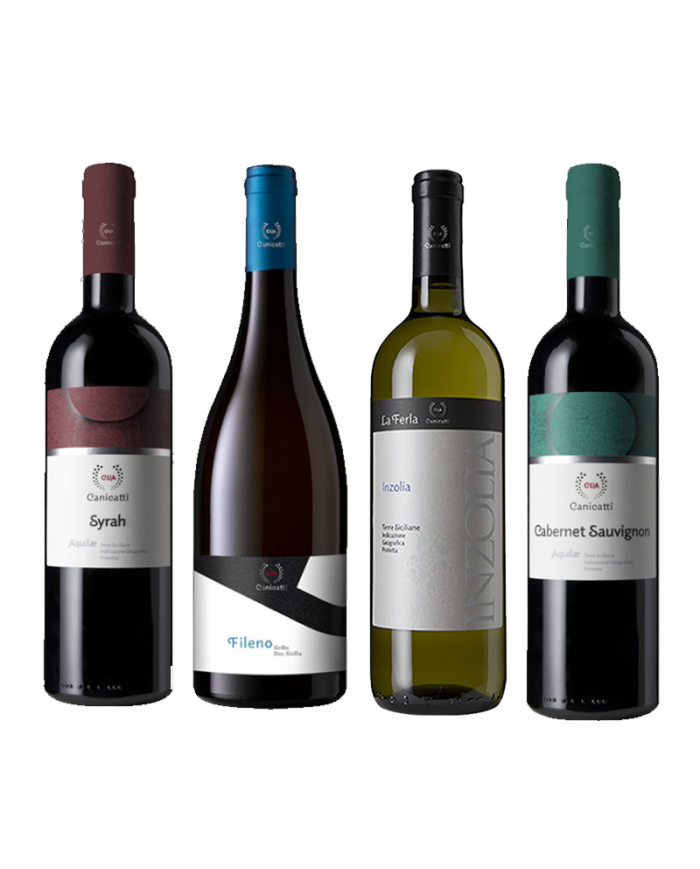 Rode wijnen  Fileno Grillo 2022 - LA FERLA Inzolia 2021 - Aquilae Syrah 2020 - Aquilae Cabernet Sauvignon 2020 - CVA Canicatt... Rode wijnen  Fileno Grillo 2022 - LA FERLA Inzolia 2021 - Aquilae Syrah 2020 - Aquilae Cabernet Sauvignon 2020 - CVA Canicatt...