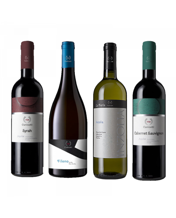 Vini Rossi  Fileno Grillo 2022 - LA FERLA Inzolia 2021 - Aquilae Syrah 2020 - Aquilae Cabernet Sauvignon 2020 - CVA Canicattì... Vini Rossi  Fileno Grillo 2022 - LA FERLA Inzolia 2021 - Aquilae Syrah 2020 - Aquilae Cabernet Sauvignon 2020 - CVA Canicattì...
